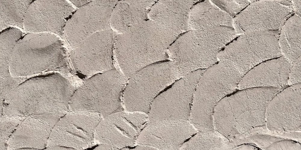 pexels photo 17691355